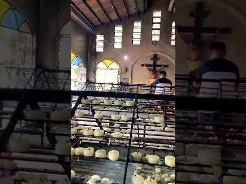 Tourist explores 🇵🇭 #music #trip #travel #culture #philippines #cebu #explore #vacation #tourist