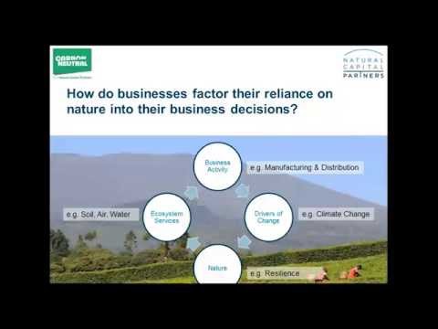 Webinar: What does natural capital mean for business? 18/11/15