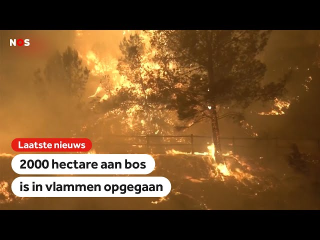 Natuurbranden verwoesten grote oppervlaktes in Frankrijk en Spanje