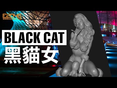 Black Cat Figure Assembling Preview