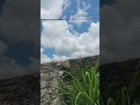 oiii quintal de Mãe 🤭