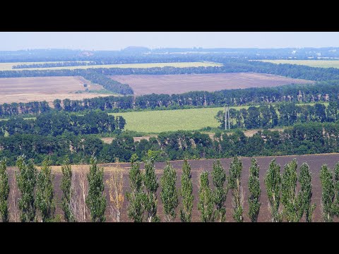 Agroforestry in Ukraine  - Policy Brief Launch