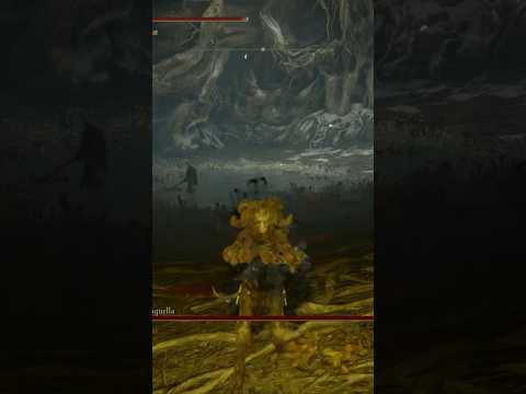 Behold…the Lantern Holder #lit #malenia #invisible #funny #dripcheck #eldenring #shadowoftheerdtree