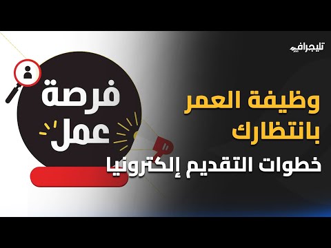 خطوات التقديم في الوظائف الحكومية إلكترونيا.. احجز فرصتك دلوقتي