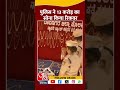 Karnataka Police ने जब्त किया बैंक चोरी का 13 करोड़ का रुपये का सोना | #shorts #shortvideo
