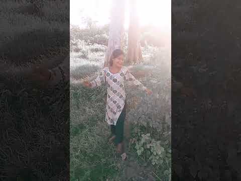 toh#ar Dil hamara di#lva per Raj karta#