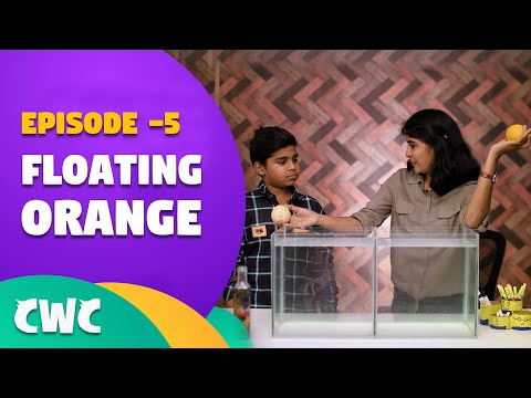 Floating Orange Experiment | Ep#5 | Chitti with Chutties