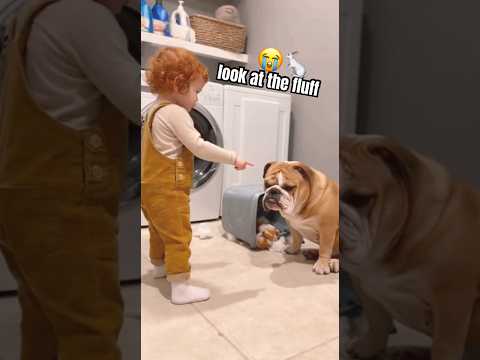 Toddler Confronts Dog Over Stuffed Bunny 🐰