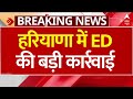 ED Raid in Haryana: करोड़ों रुपये, सोना और हथियार, हरियाणा में ED की बड़ी कार्रवाई | Breaking News