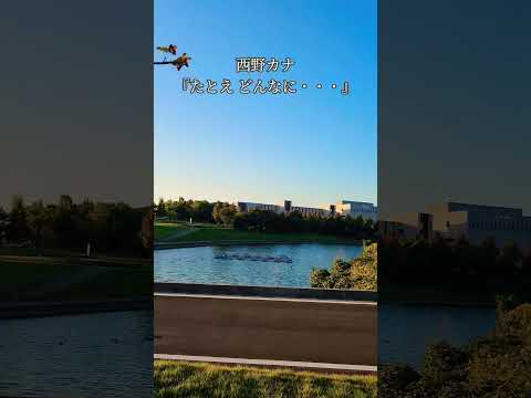蒲郡市のラグーナ近くの風景です。この動画を見ながら西野カナさんのたとえ どんなにを聴いてください。#西野カナ #たとえ どんなに#バラード #ラグーナ #風景 #蒲郡市 #朝日