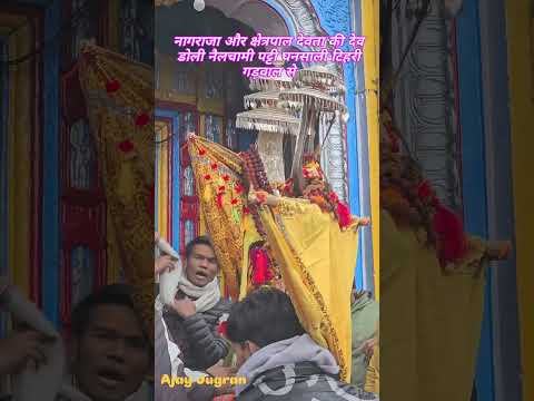 नागराजा और क्षेत्रपाल देवता की देव डोली नैलचामी पट्टी घनसाली टिहरी गड़वाल से आज बाबा केदारनाथ धाम मे