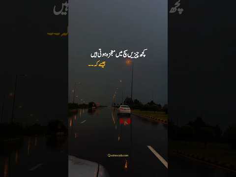 good Urdu Quotes 🥺❤️ #shortsfeed #whatsappstatus #urdulines #quotesislami #shorts