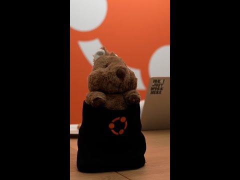 Ubuntu Summit 25.10 | Highlights