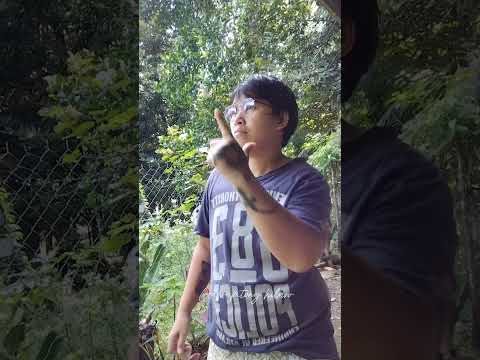 Sharp shooter #funny