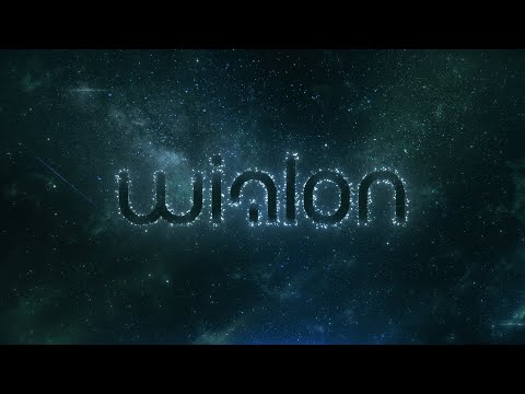 video Wialon