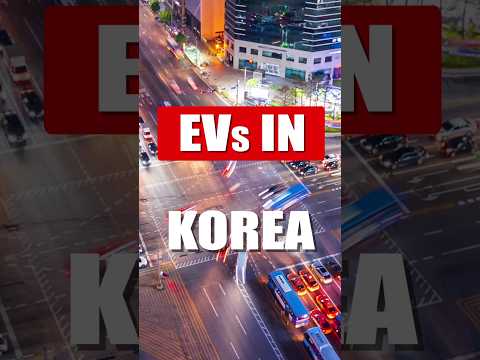 What I found checking out EVs in Korea