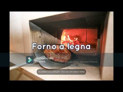 Video realizado por la propiedad