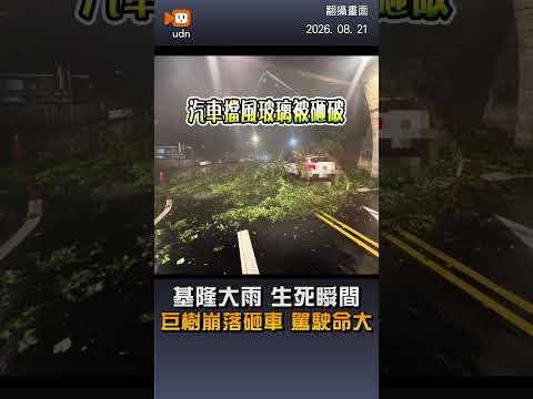 【生活】生死一瞬間！基隆中山區巨樹崩落砸車頂