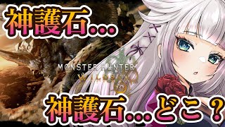 【モンハンワイルズ】星9歴戦周回で神護石きました！！！（素振り）【MHWilds】