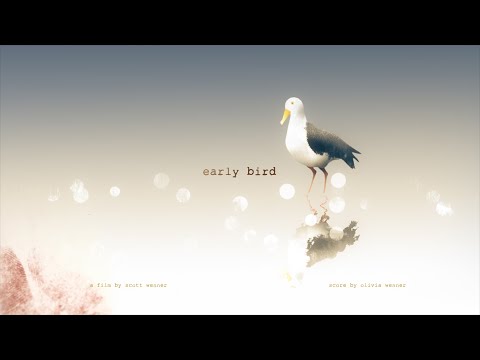Early Bird'