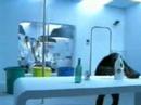 My girlfriend (she is Portuguese) once showed me this TV spot from Portugal when we were talking about a possible topic for my master thesis in design and my (at that time) poor recycling habits.
It's about an experiment with the chimpanzee "Gérva