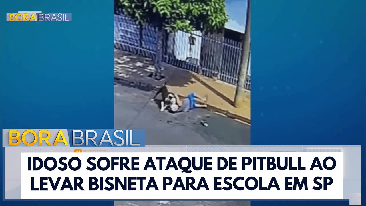 Idoso de 78 anos é atacado por pitbull no interior de São Paulo