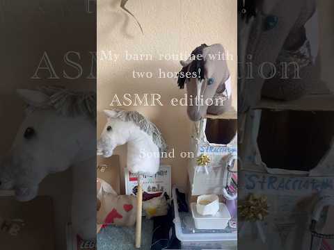 ASMR barn routine #horse #pony #лошадки #equestrian #hobbyhorsing #hobbyhorse
