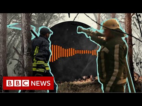 Are forest fires unlocking the radiation in Chernobyl? - BBC News