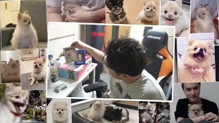 動画サムネイル