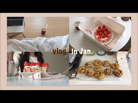 VLOG #68🍓| 일회용품 없이 딸기치즈케익 포장해오기, 오랜만에 평일 일상, 인생 르뱅쿠키🍪&amp; 초코그래놀라 만들기| 잘 챙겨먹는 자취생 집밥 브이로그