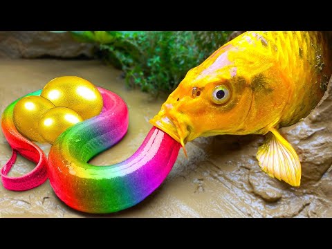 الليلة الأولى | ليالي الامتحان الأخيرة| ثالثة ثانوي ٢٠٢٥ مع أ. محمد صلاح