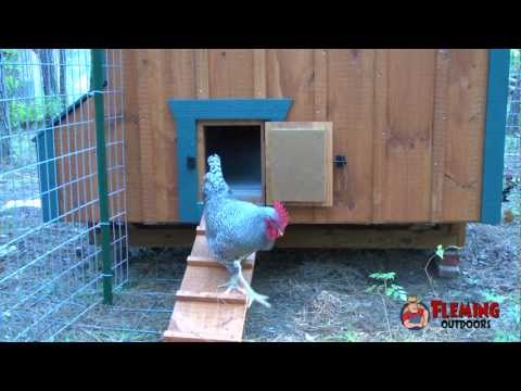 02 automatic chicken door 0 35 chicken controlled door opener 0 44 ...