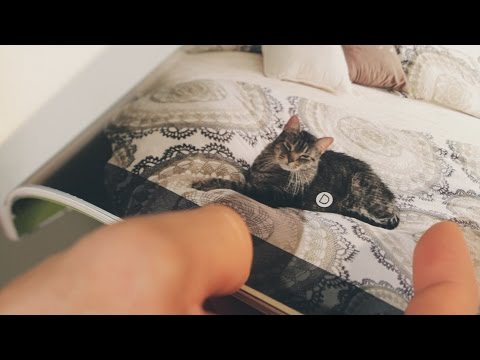 Catalogue - The Cat That Came With The Furniture