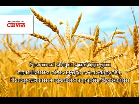 Урочисті збори з нагоди дня працівника сільського господарства