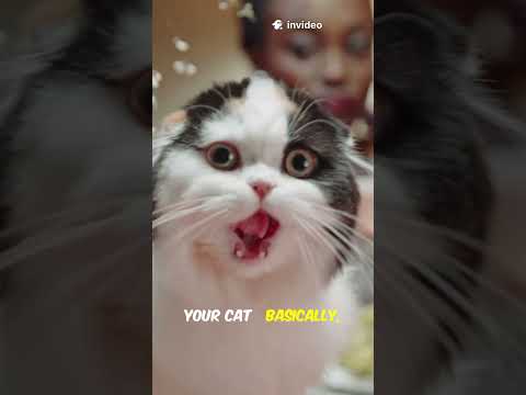 What If The Earth Stopped Spinning #space #spacefacts #timeexploration #helpmemakethismakesense