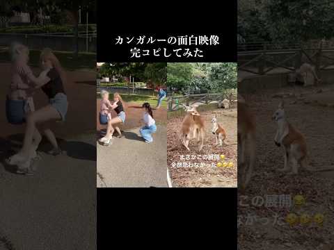 沖縄旅行中にテンション上がって撮った動画