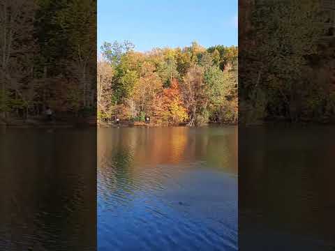 mùa thu ở Mỹ 2025