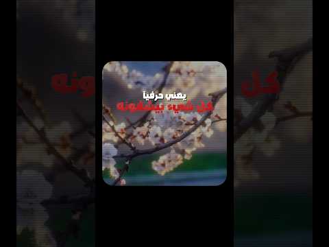 تخيل يوم القيامة اهلك بيشوفو تاريخ حياتك كله #عبدالله #المواسي