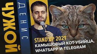 Камышовый кот-убийца, Whatsapp и Telegram | Stand Up 2021