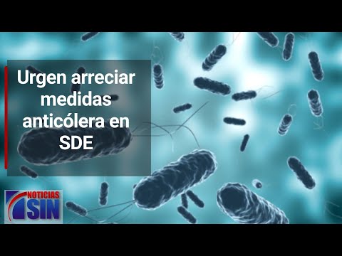 Urgen arreciar medidas anticólera en SDE