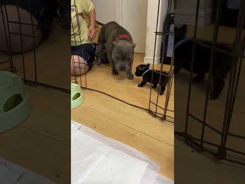 主、寝落ち!謝罪からスタート!ライブ ハイライト