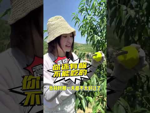 今天被“骗”到武冈村里面去了！！#三农 #黄桃 #乡村振兴 #抖音助农 #新农人