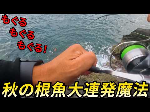 ロックフィッシュ攻略法!秋の数釣り、サイズの出し方は短時間で差が出るこの選択肢を覚えろ!動画を見終わったらレベルが上がってます