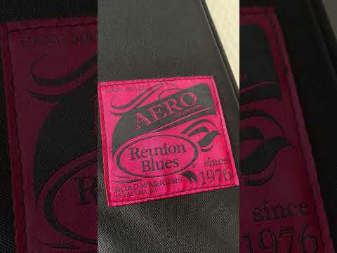Sean Michael Ray Reunion Blues Aero Series Bass Guitar Case Review