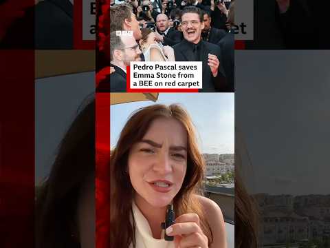 Pedro Pascal saves Emma Stone from a bee on red carpet. #BBCNews