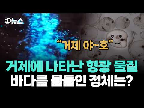 거제에 나타난 형광 물질, 바다를 물들인 정체는? / D뉴스