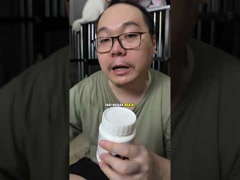 review bundling rekomendasi kreator untuk kucing