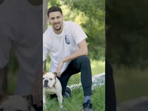 Happy Birthday to Klay’s Dog, Rocco  | #shorts video clip