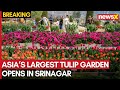Asia’s Largest Tulip Garden Opens in Srinagar, Showcasing 1.7 Million Blooms | Ground Report
