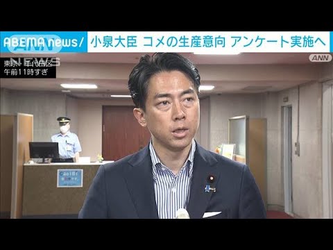 コメの生産意向アンケート実施へ　小泉大臣「生の声を直接聞きたい」(2025年6月19日)